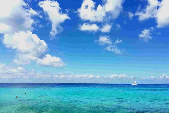Cozumel Island Tour: Mayan Ruins, Reefs, and Beach Escape - Key points to know before you book