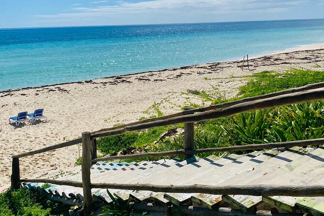 Cozumel Jeep Adventure Natural Cenote & Mayan Experience OTOCH - The guides make the private format worthwhile
