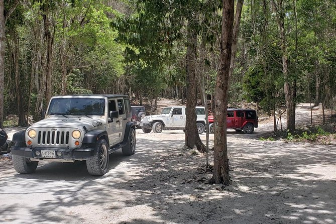 Cozumel Jeep Adventure to Jade Caverns with Lunch and Snorkel - Tequila at Rancho Alejandra