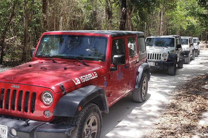 Cozumel Jeep Adventure to Jade Caverns with Lunch and Snorkel - Who should book this Cozumel excursion?