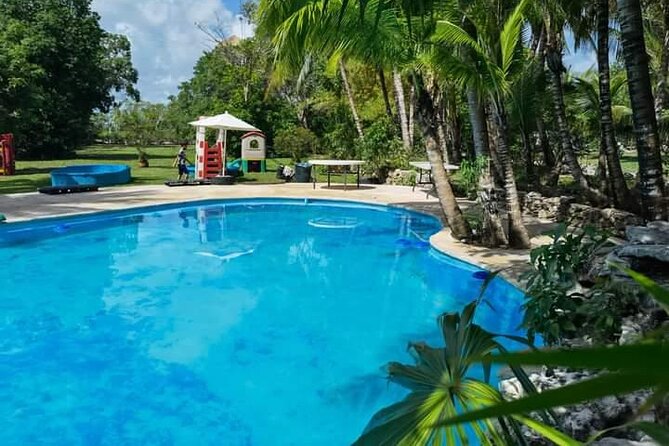 Cozumel Jungle ATV Adventure and Unlimited Beach Break - Guides, tequila, and the human side of the outing