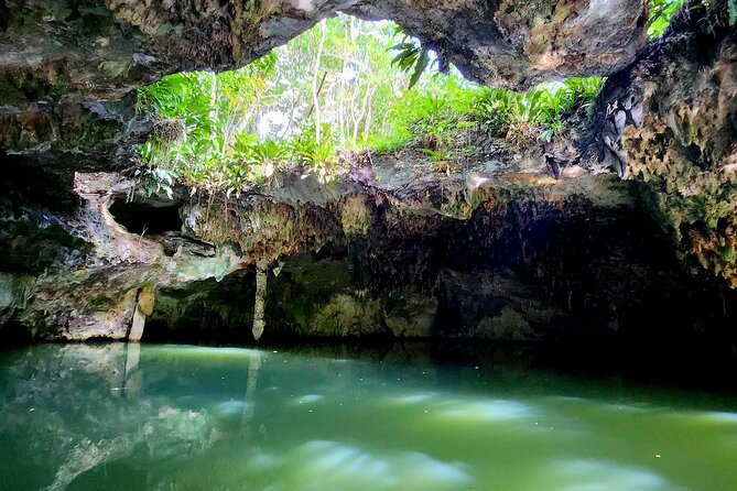 Cozumel Jungle ATV Tour Adventure and Caverns with transfer - What the $65 price really buys you