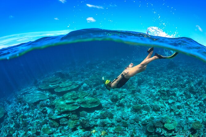 Cozumel Luxury Sailing & Snorkeling Cruise Experience - Who will enjoy this cruise most?