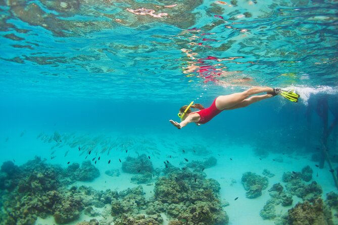 Cozumel Luxury Sailing & Snorkeling Cruise Experience - Booking advice and cancellation terms