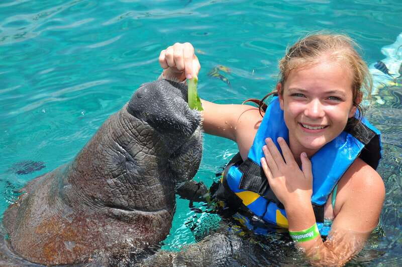 Cozumel: Manatee Encounter, Chankanaab Admission and Buffet - Key points to know before booking