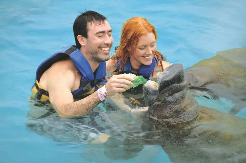 Cozumel: Manatee Encounter, Chankanaab Admission and Buffet - Meeting a manatee in Cozumel