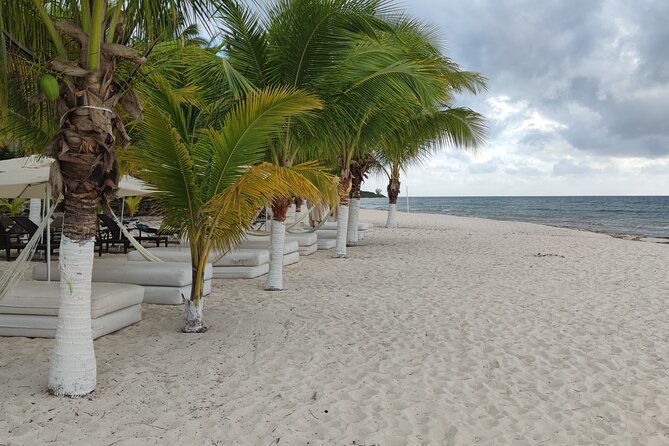 Cozumel Mayan Ruins and Beach Break - Why the private format changes the day
