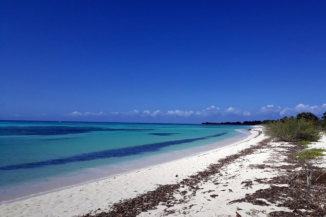 Cozumel National Park and Beach Break: Private Tour - Why this private Cozumel tour works well on a port day