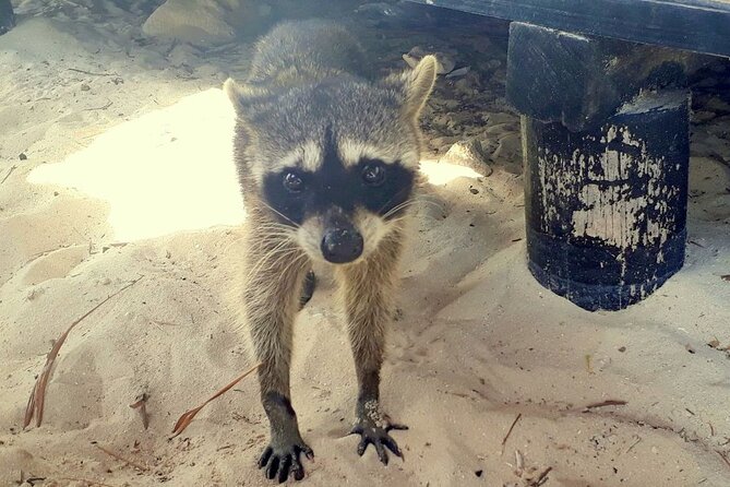 Cozumel National Park and Beach Break: Private Tour - San Miguel adds a short taste of local life