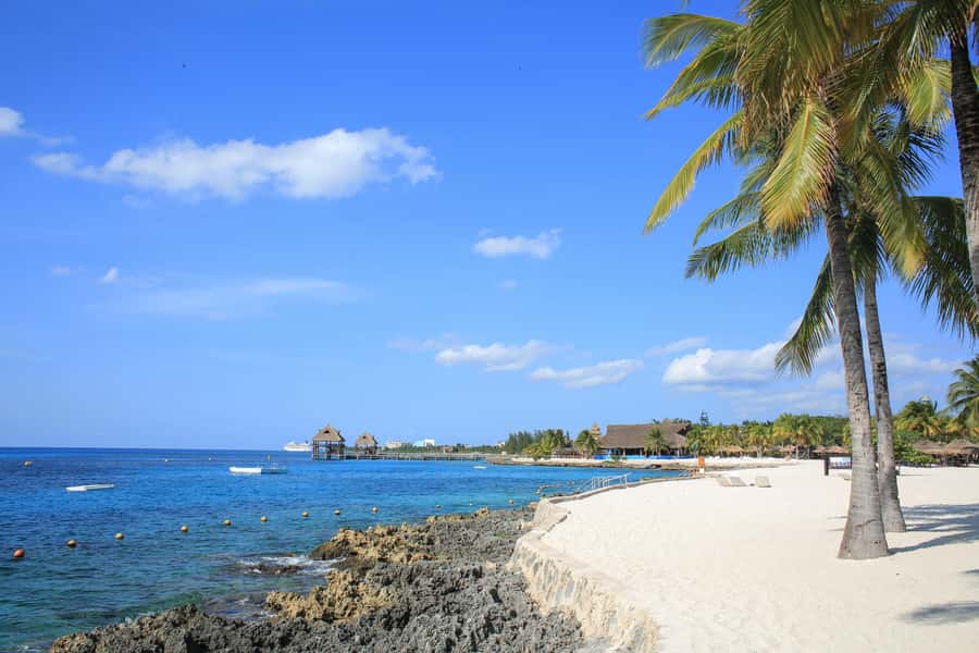 Cozumel: Official Chankanaab Park and Snorkeling with Lunch - Beach chairs, palapas, and the blue lagoon