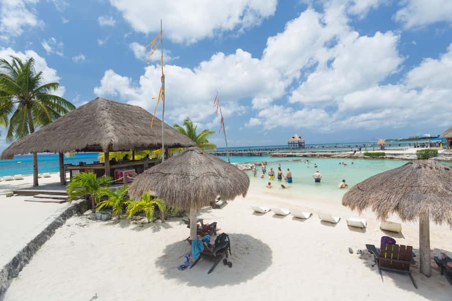 Cozumel: Official Chankanaab Park and Snorkeling with Lunch - The reef, fish, and underwater museum