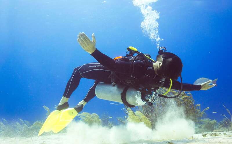 Cozumel: One Tank Scuba Dive and Full Chankanaab Park Access - Key points to know before booking