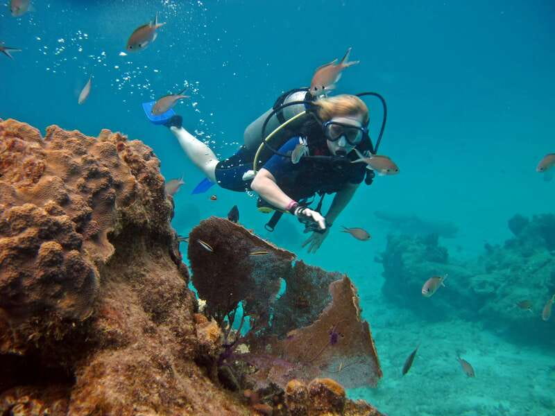 Cozumel: One Tank Scuba Dive and Full Chankanaab Park Access - A gentle first look beneath Cozumel
