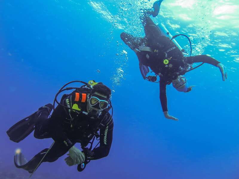 Cozumel: One Tank Scuba Dive and Full Chankanaab Park Access - Chankanaab after the underwater session