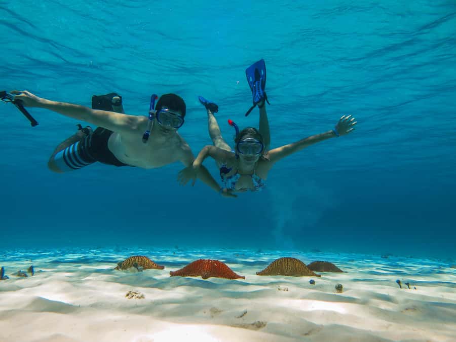 Cozumel: Palancar, Columbia and Cielo Reefs Snorkeling Tour - Key points to know before booking