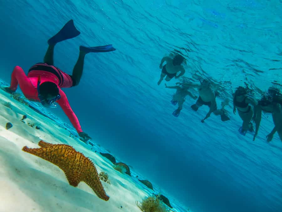 Cozumel: Palancar, Columbia and Cielo Reefs Snorkeling Tour - Palancar, Columbia, and Cielo from the water