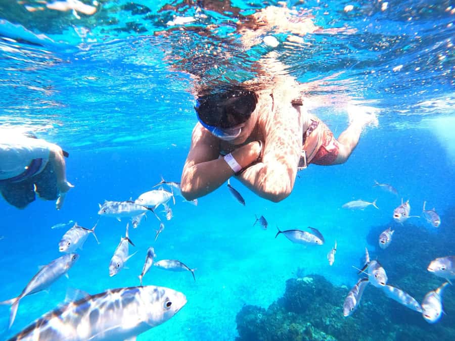 Cozumel: Palancar, Columbia and Cielo Reefs Snorkeling Tour - Who will enjoy this Cozumel snorkeling tour?
