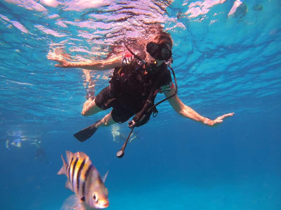 Cozumel: Palancar, Columbia and Cielo Reefs Snorkeling Tour - Practical tips for a smoother outing