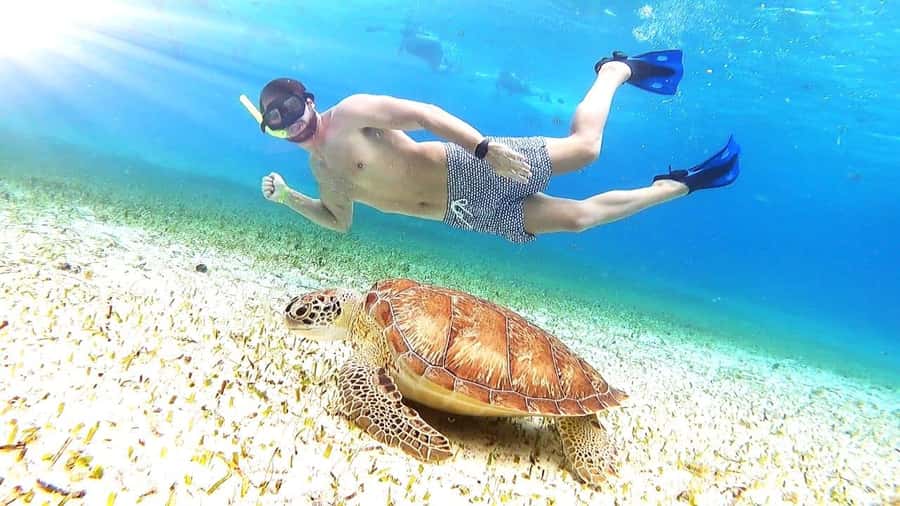 Cozumel: Palancar, Columbia and Cielo Reefs Snorkeling Tour - What happens at the three reef stops