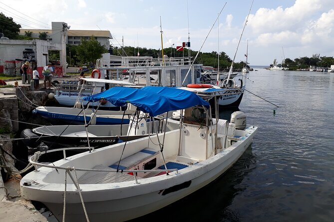 Cozumel Private 4-Hour Boat Tour to Passion Island - Who will enjoy this boat trip most