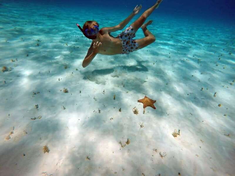 Cozumel: Private Charter Boat and Snorkel Day Trip - Should You Book This Cozumel Boat Trip?