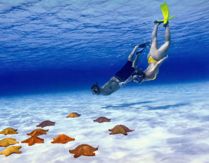 Cozumel: Private Snorkel Tour El Cielo + 3 Reefs Food Drinks - Four Cozumel stops packed into three hours
