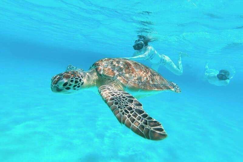 Cozumel: Private Snorkel Tour El Cielo + 3 Reefs Food Drinks - El Cielo, where starfish become the main event