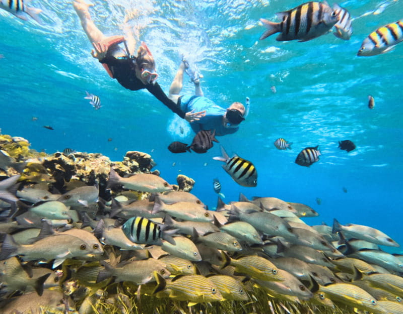 Cozumel: Private Snorkel Tour El Cielo + 3 Reefs Food Drinks - What the private boat changes
