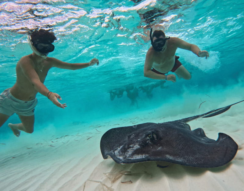 Cozumel: Private Snorkel Tour El Cielo + 3 Reefs Food Drinks - Should you book this private El Cielo tour?