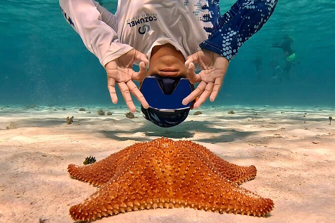 Cozumel Private Snorkeling and Charter Experience - Snacks, ceviche and drinks between swims