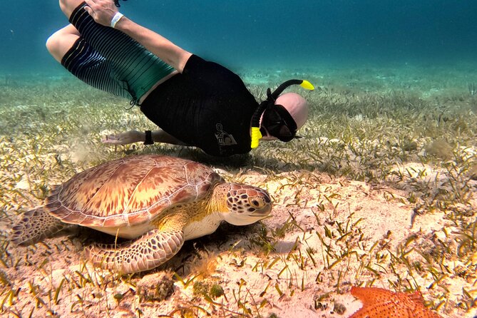 Cozumel Private Snorkeling and Charter Experience - El Cielo, starfish and calm turquoise water