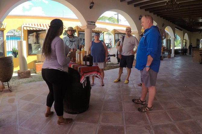 Cozumel Private Van Service with Snorkel Tour - What the $89 price really covers