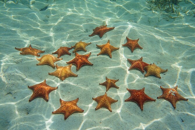 Cozumel Reef Snorkeling Tour - Columbia Reef adds a third snorkeling location