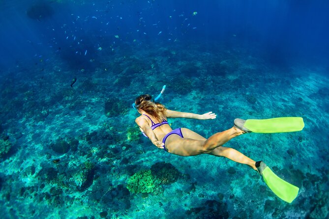 Cozumel Reef Snorkeling Tour - San Miguel gives you one hour on land