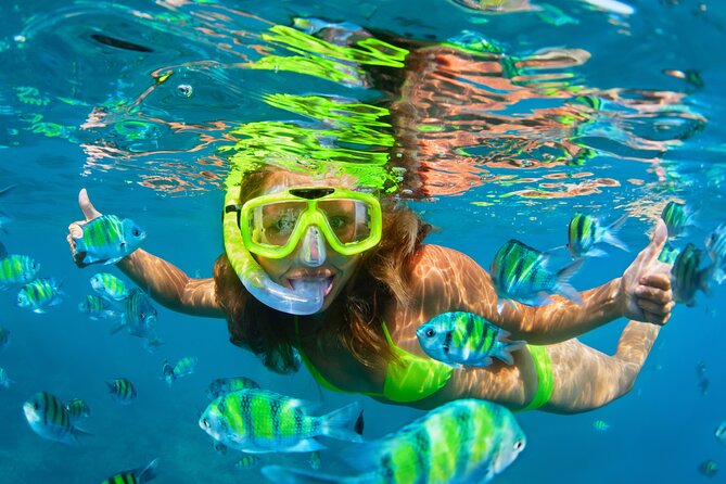 Cozumel Reef Snorkeling Tour - Lunch, equipment, and what the $139 price covers