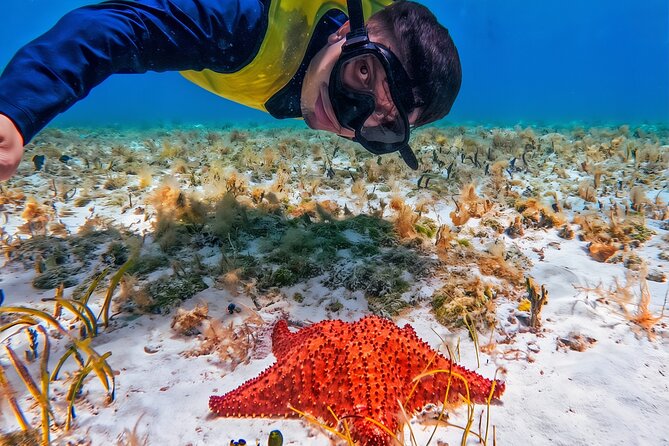 Cozumel's Reefs in El Cielo, Palancar and Columbia Guided Tour - Quick points to know before booking