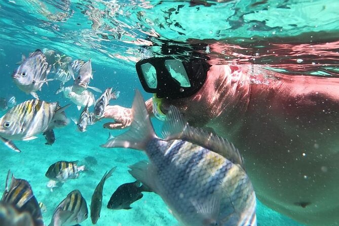 Cozumel's Reefs in El Cielo, Palancar and Columbia Guided Tour - Three reef names, one low-cost half-day