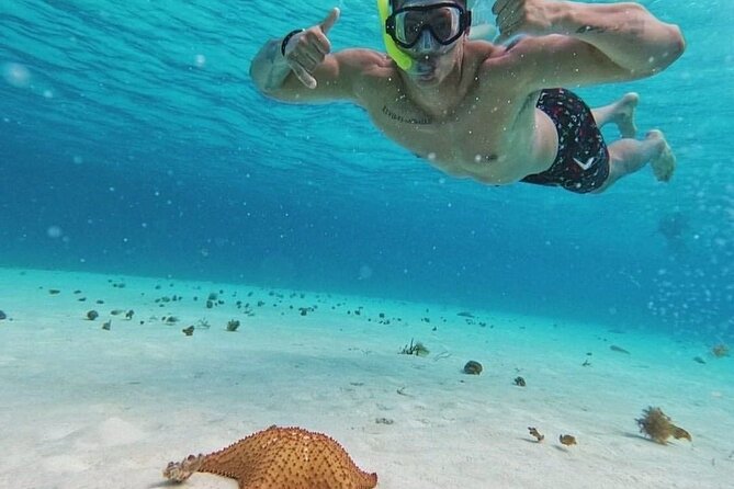 Cozumel's Reefs in El Cielo, Palancar and Columbia Guided Tour - Weather, refunds, and a smart booking precaution