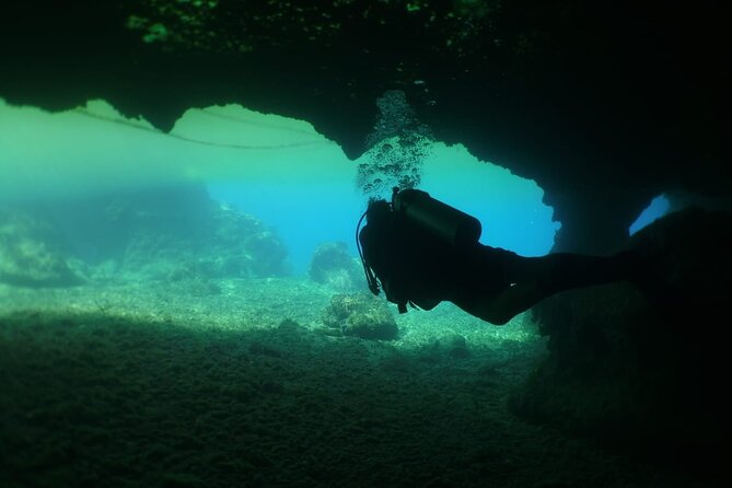 Cozumel Scuba Dive at Chankanaab - Chankanaab Reef, where the sea life begins