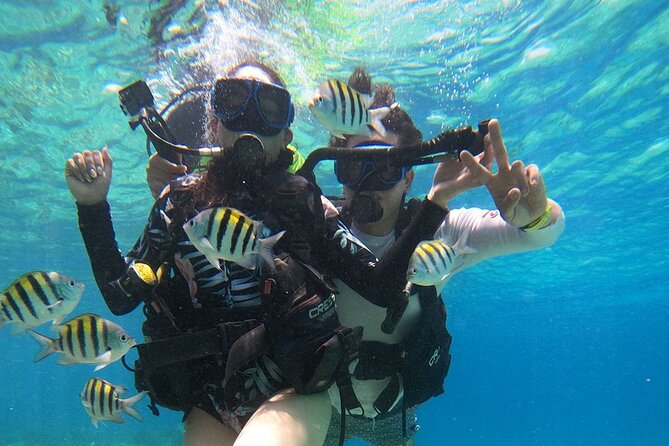 Cozumel Scuba Dive at Chankanaab - What happens after you leave the water