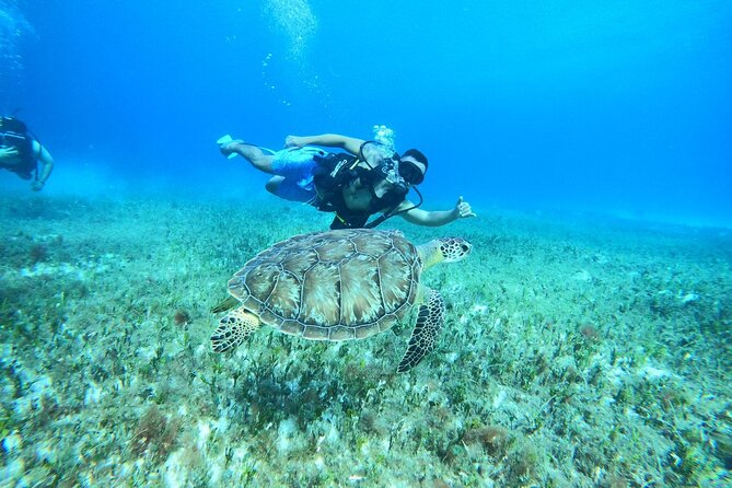 Cozumel Scuba Dive at Chankanaab - Is the $85 price a good value?