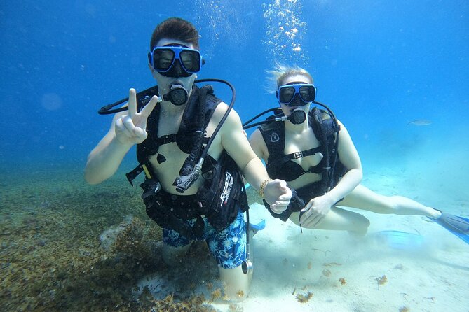 Cozumel Scuba Dive at Chankanaab - Who will enjoy this most