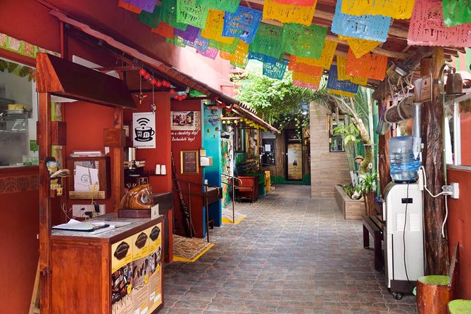 Cozumel Shore Excursion: 5-Hour Sightseeing Tour with Private Driver - Why the private van matters