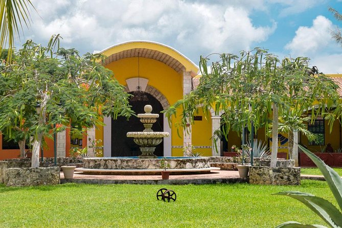 Cozumel Shore Excursion: 5-Hour Sightseeing Tour with Private Driver - Timing, pickup, and the real cost