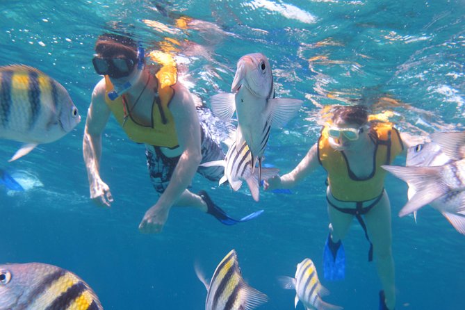 Cozumel Shore Excursion: Playa Uvas Private Beach Pass - Lunch and Drinks: Good Value, With a Few Limits
