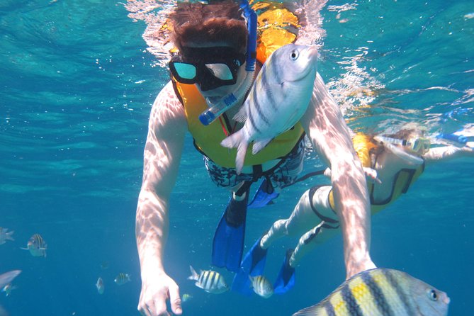 Cozumel Shore Excursion: Playa Uvas Private Beach Pass - A Quieter Setting, Not a Luxury Resort