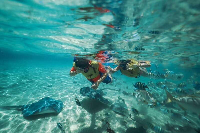Cozumel: Snorkel and Swim with Stingrays - The 800-coral installation