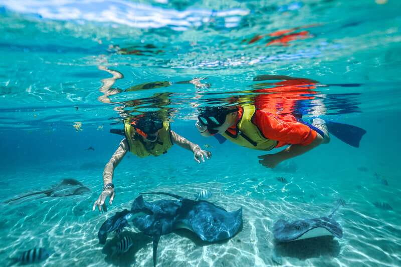 Cozumel: Snorkel and Swim with Stingrays - Getting ready for the water