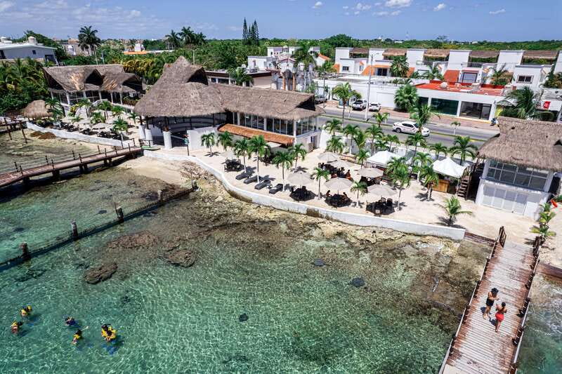 Cozumel: Snorkel and Swim with Stingrays - From feeding time to free swimming