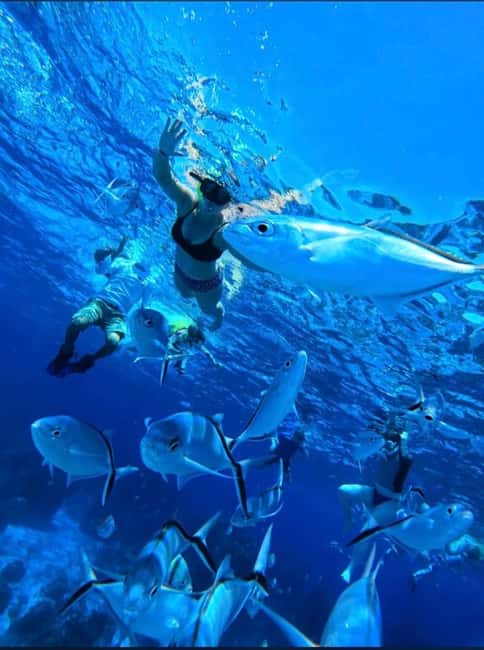Cozumel: snorkeling on reefs + visit to "El Cielo" - Quick reasons to consider this Cozumel boat trip